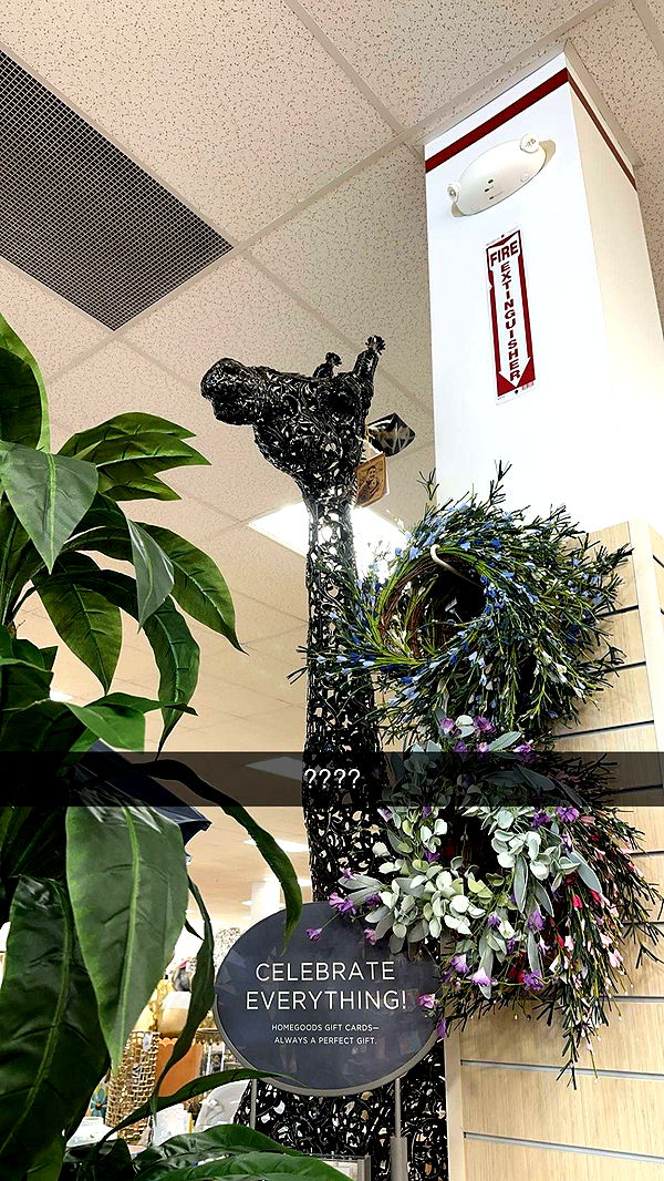 laurenj.fit image ~ Altpins