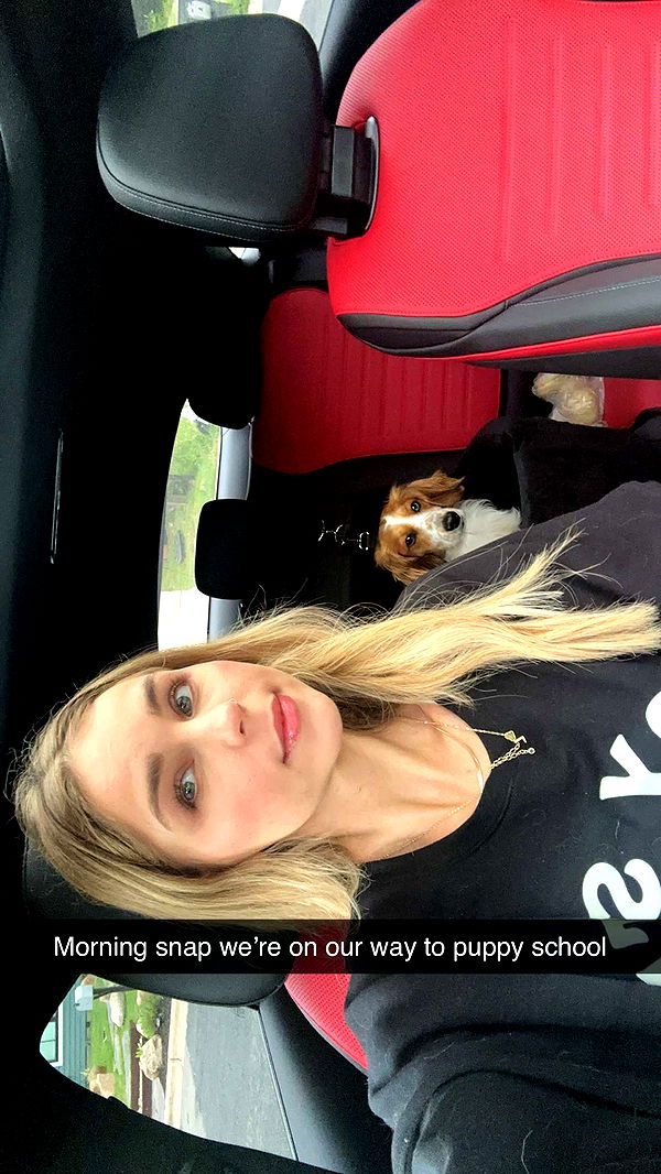 laurenj.fit image ~ Altpins