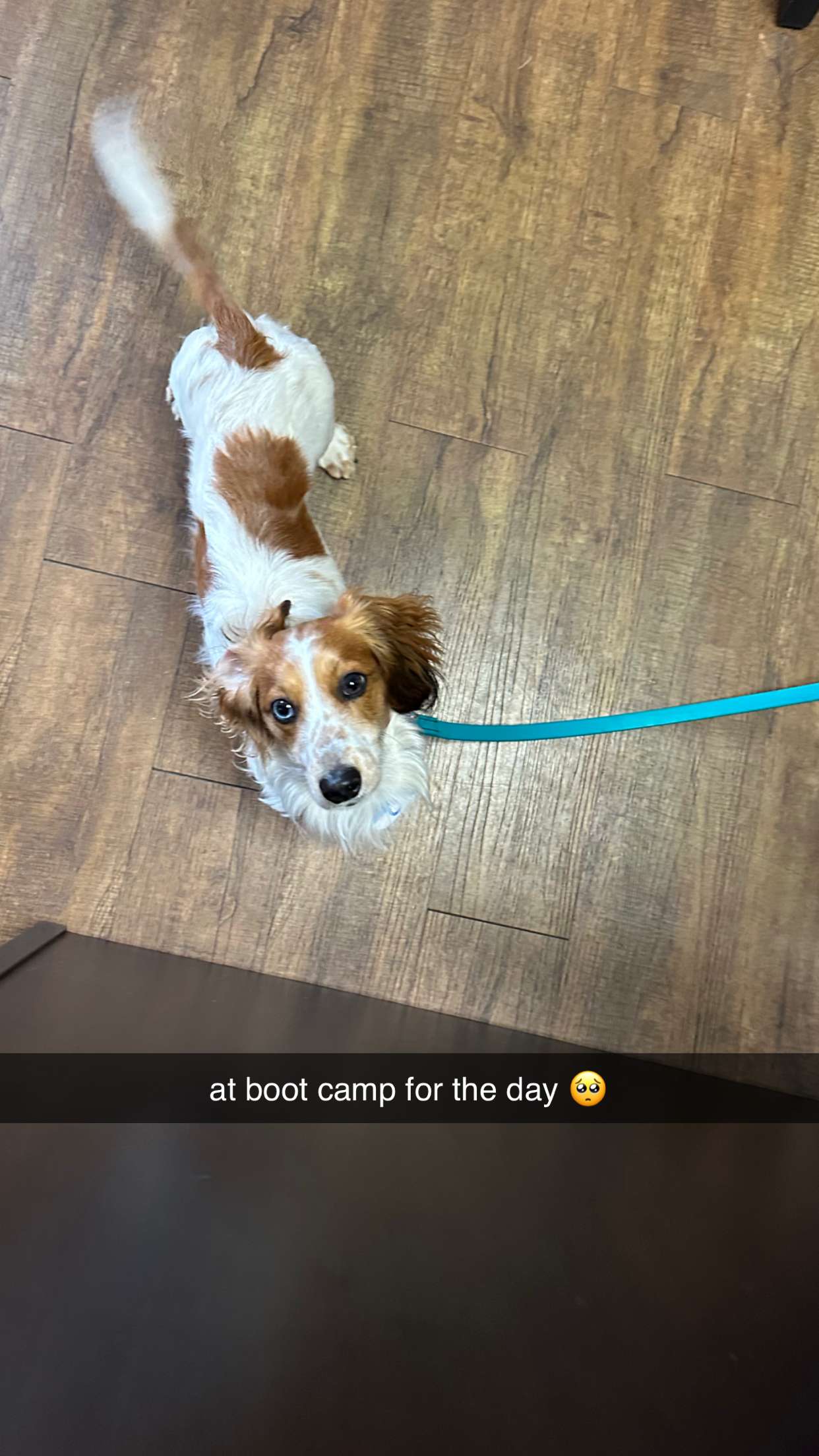 laurenj.fit snapchat image archive image