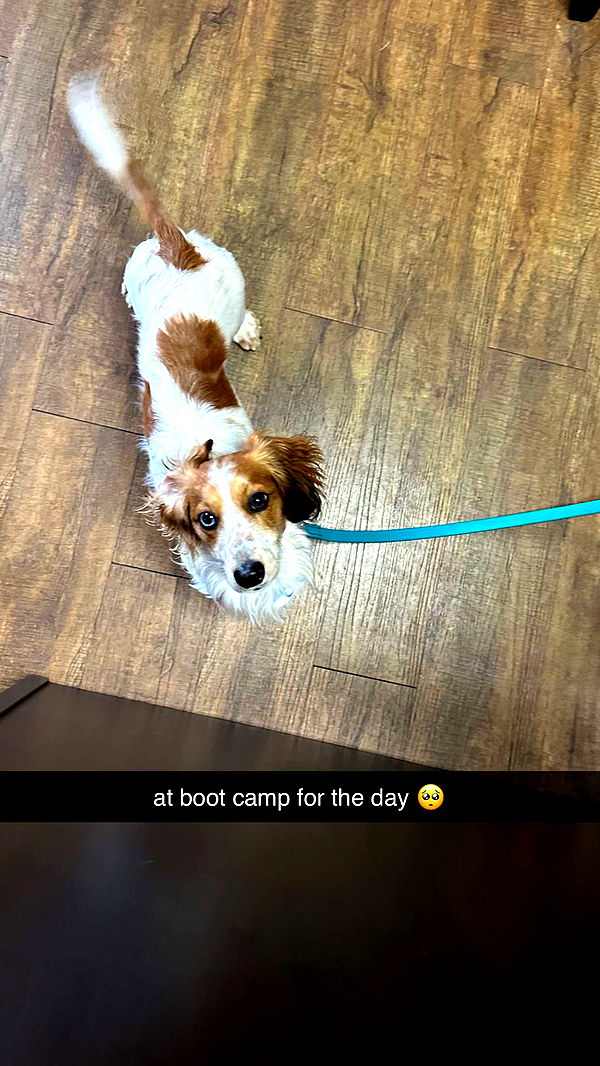 laurenj.fit image ~ Altpins