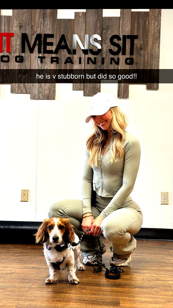 laurenj.fit image ~ Altpins