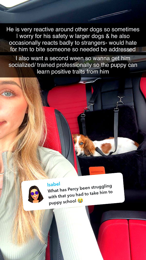 laurenj.fit image ~ Altpins