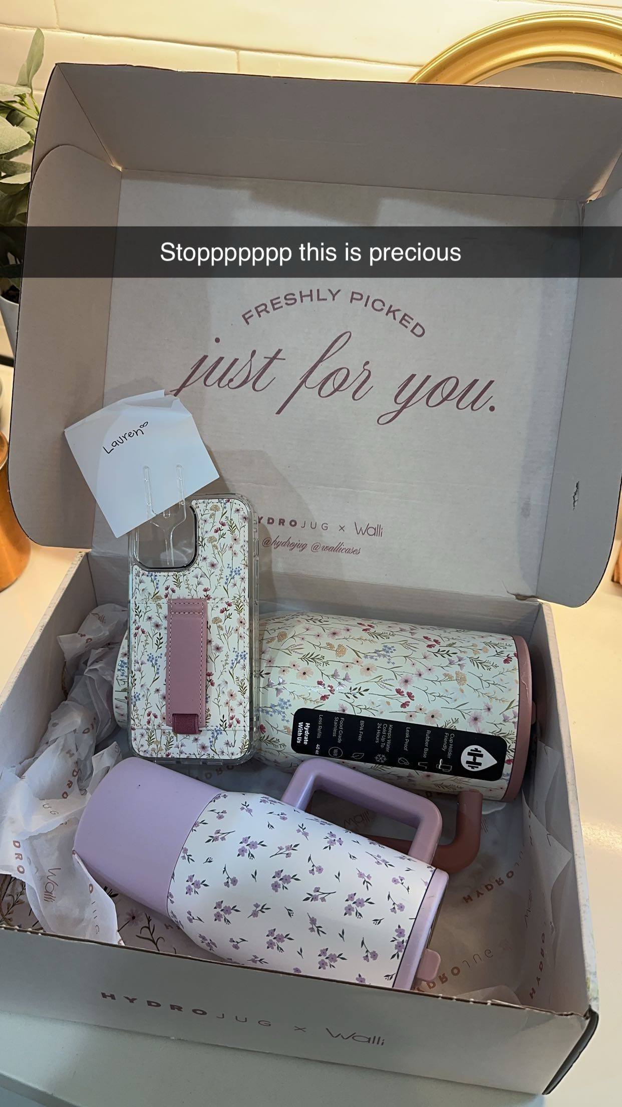 laurenj.fit snapchat image archive image