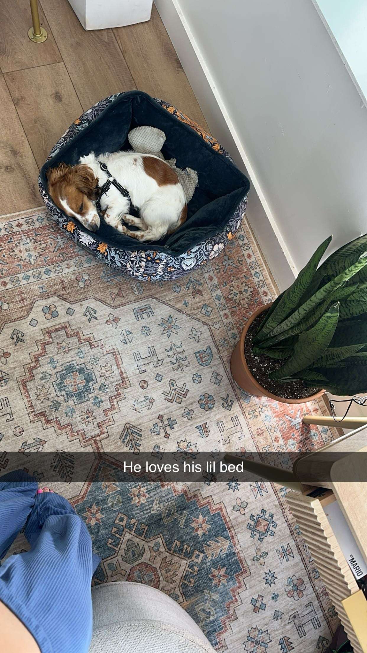 laurenj.fit snapchat image archive image