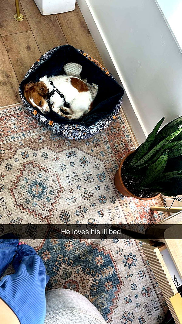 laurenj.fit image ~ Altpins