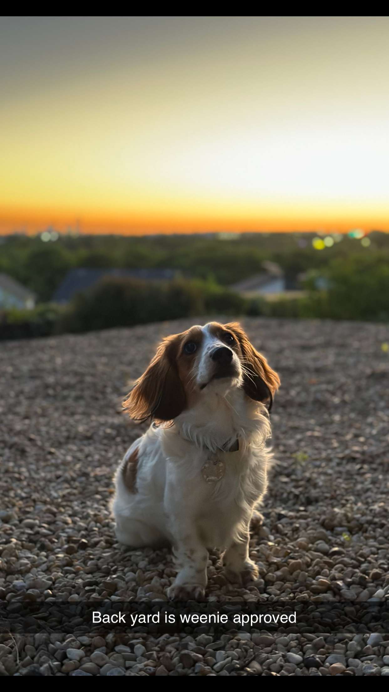 laurenj.fit snapchat image archive image