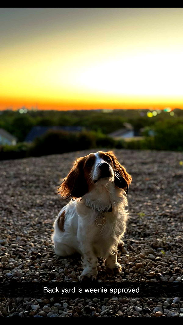 laurenj.fit image ~ Altpins