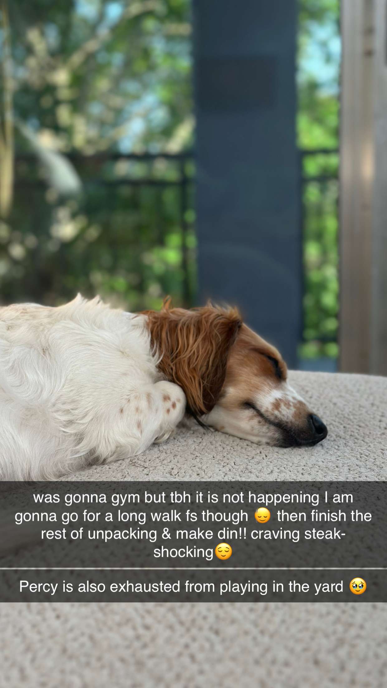 laurenj.fit snapchat image archive image