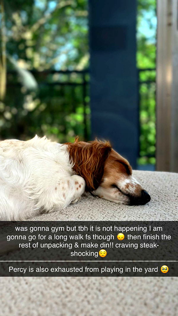 laurenj.fit image ~ Altpins