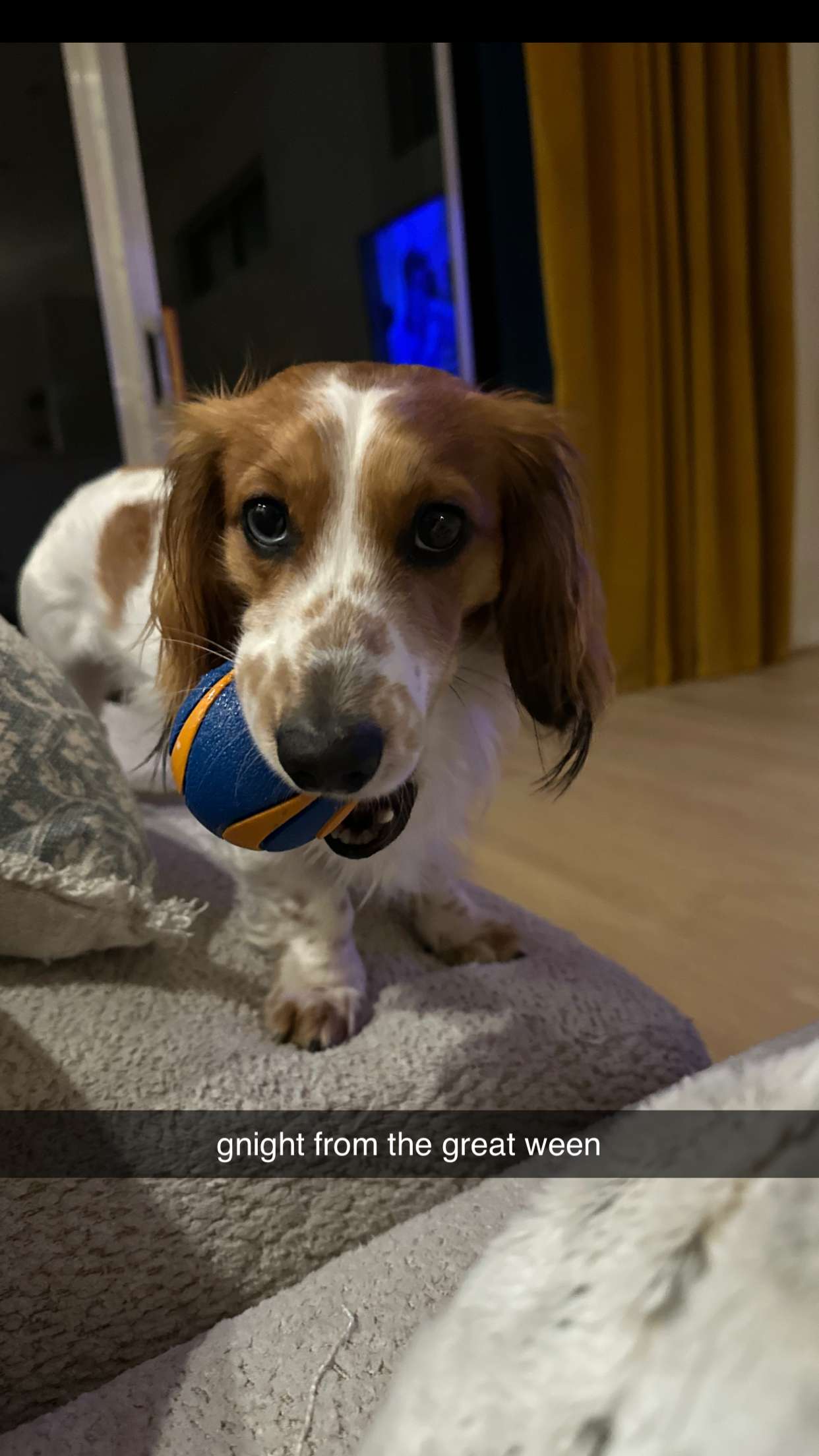 laurenj.fit snapchat image archive image