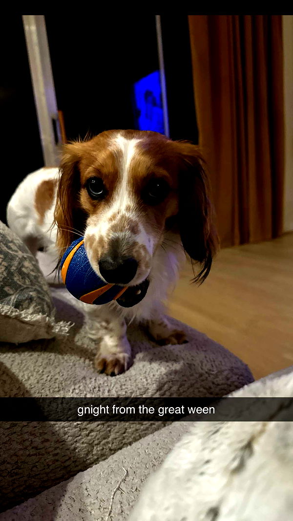 laurenj.fit image ~ Altpins