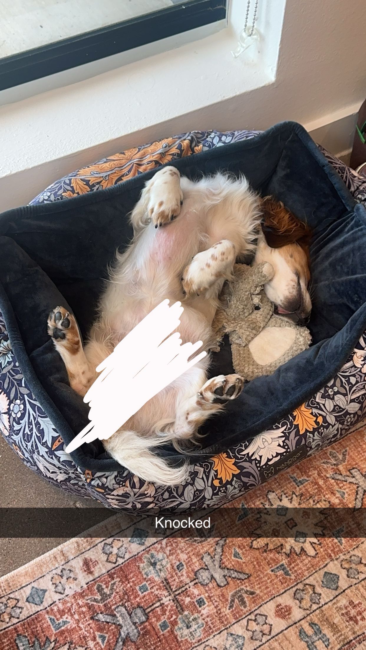 laurenj.fit snapchat image archive image