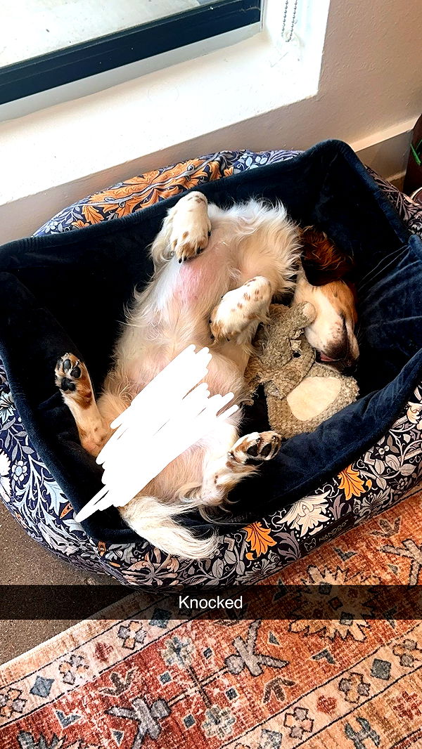 laurenj.fit image ~ Altpins