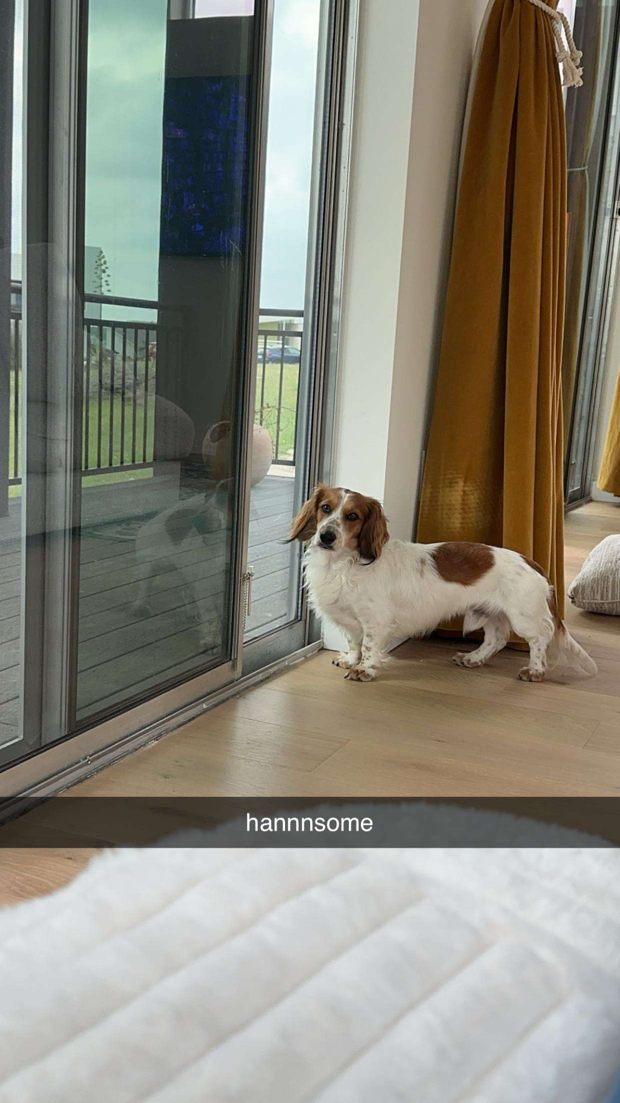 laurenj.fit snapchat image archive image