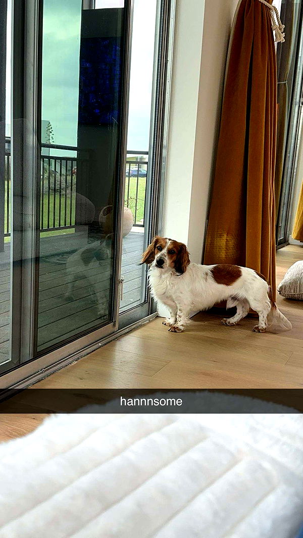 laurenj.fit image ~ Altpins