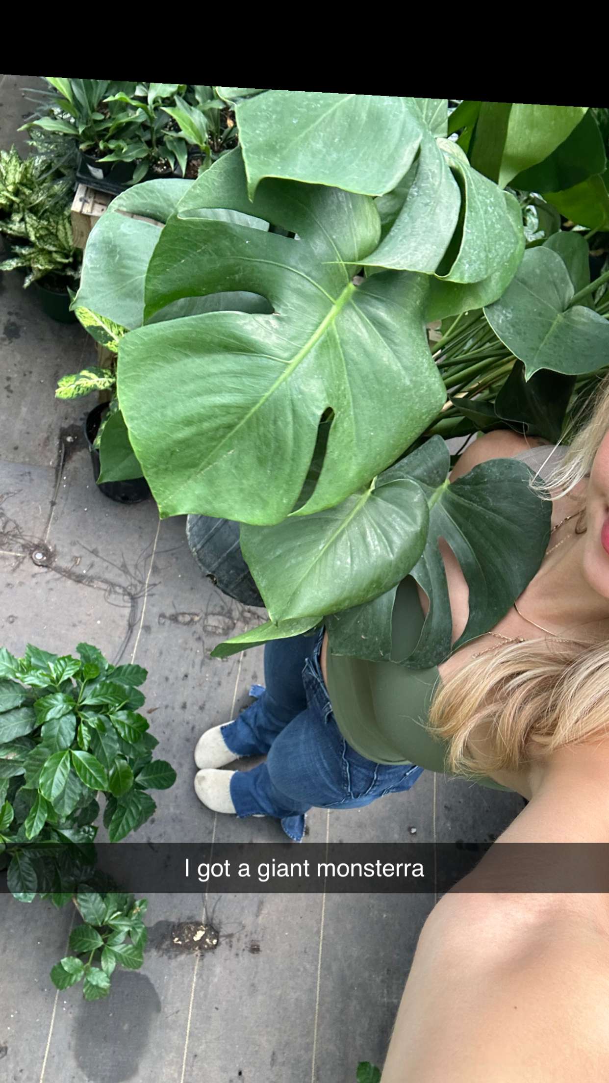 laurenj.fit snapchat image archive image