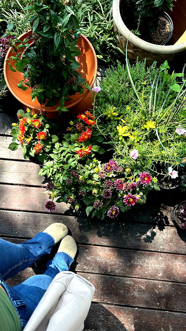 laurenj.fit image ~ Altpins