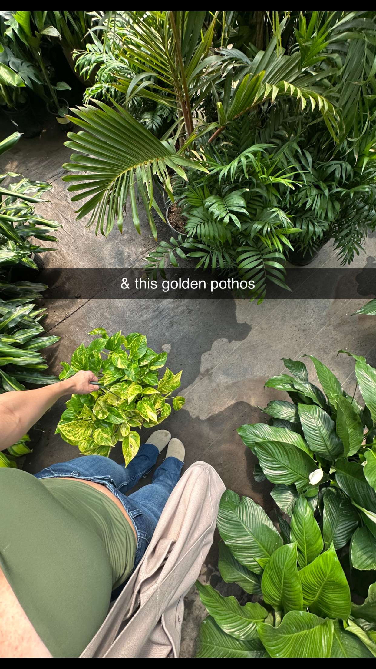 laurenj.fit snapchat image archive image