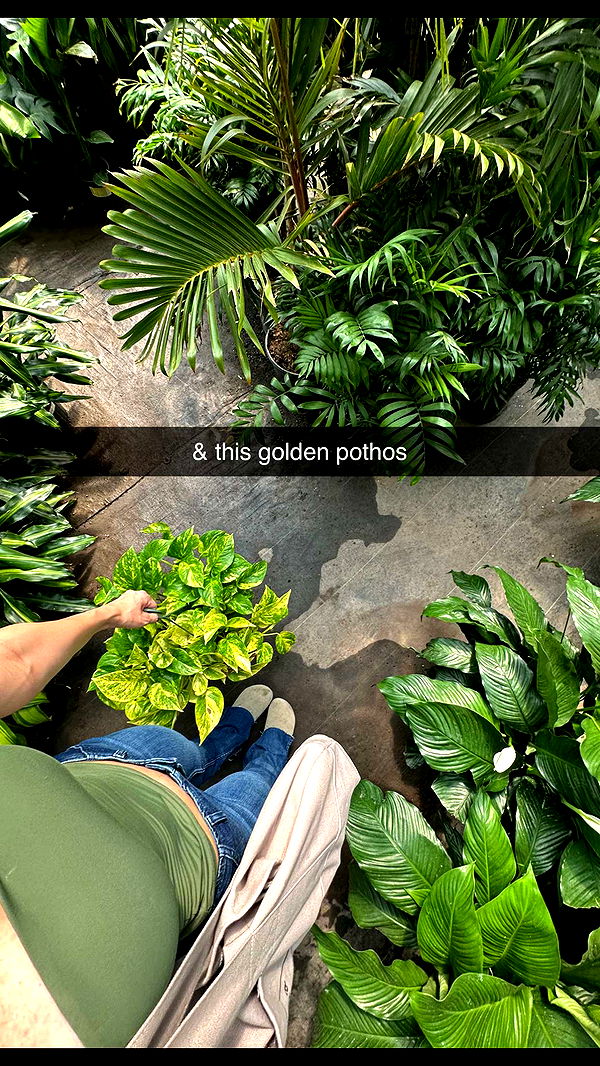 laurenj.fit image ~ Altpins