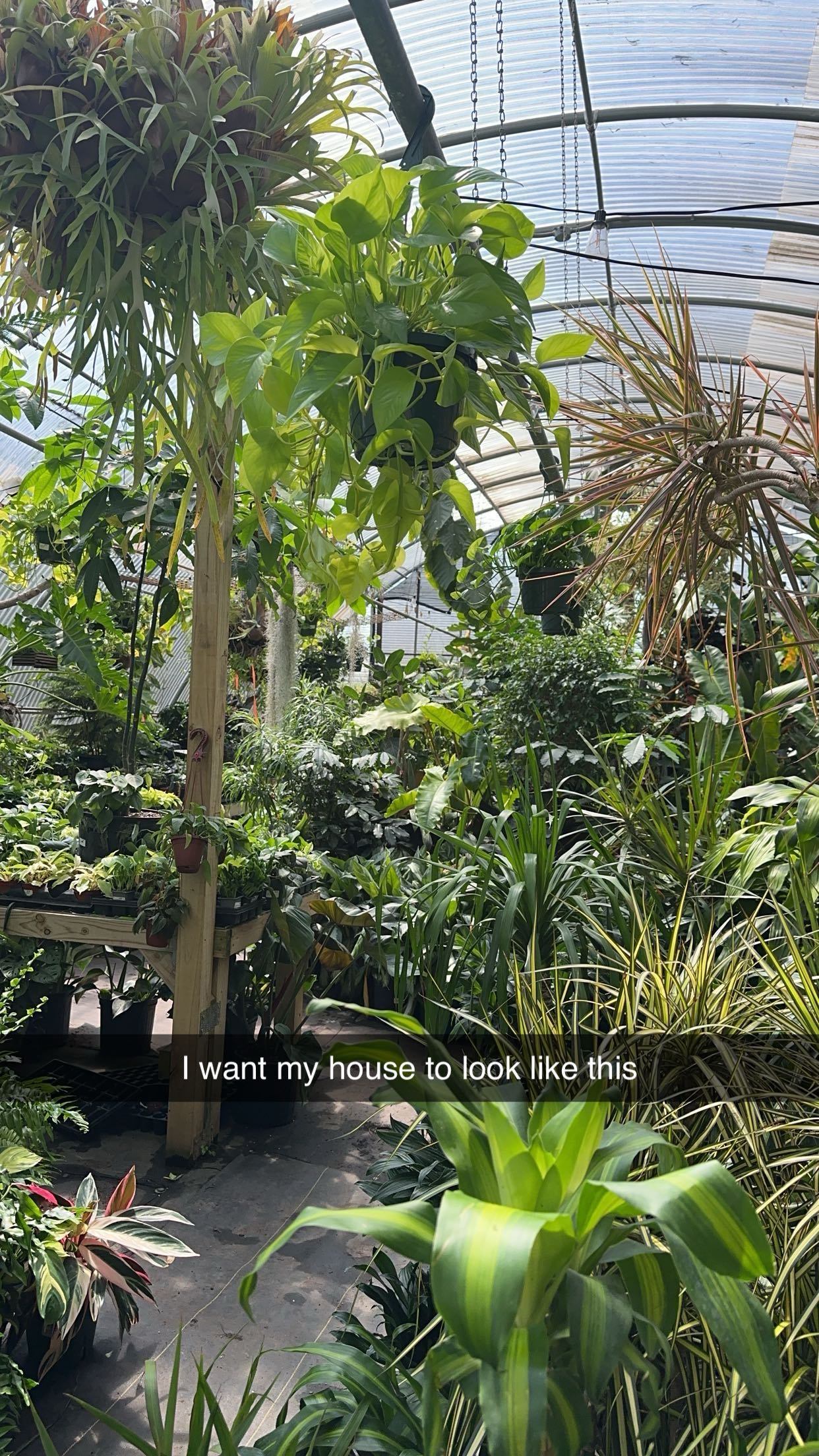 laurenj.fit snapchat image archive image