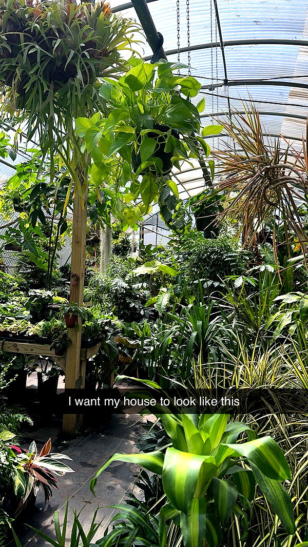 laurenj.fit image ~ Altpins