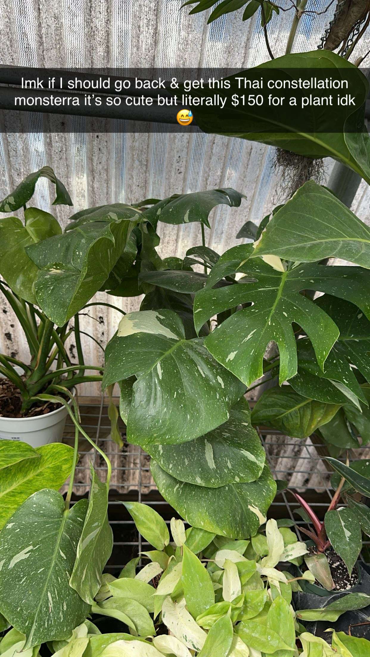 laurenj.fit snapchat image archive image