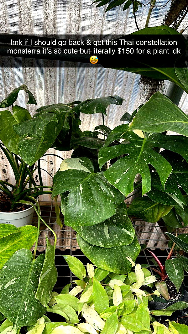 laurenj.fit image ~ Altpins