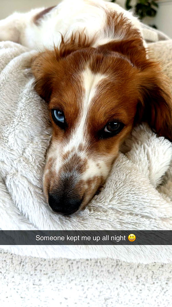 laurenj.fit image ~ Altpins