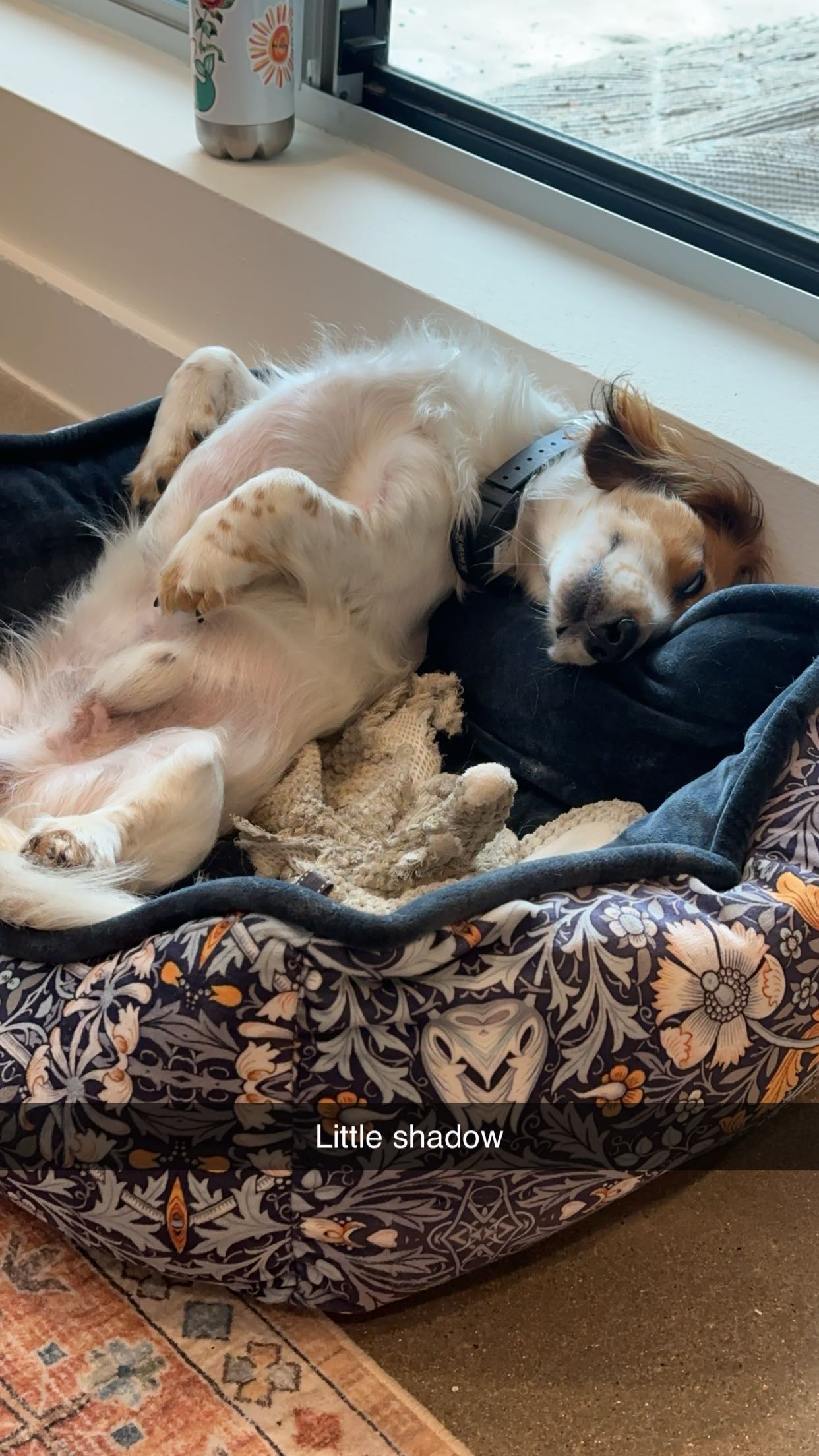 laurenj.fit snapchat image archive image