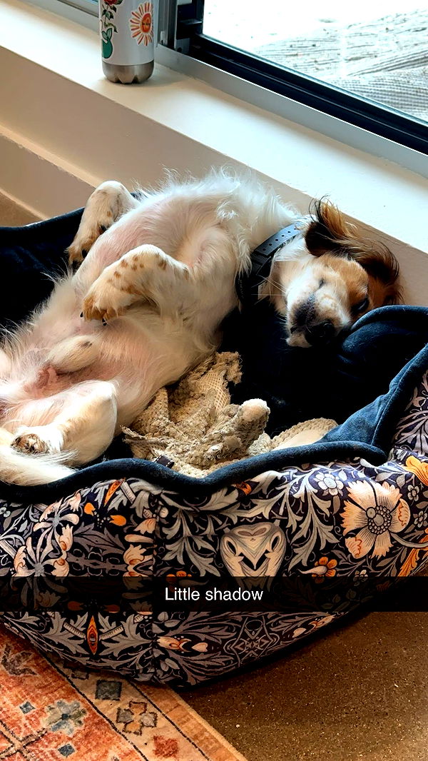 laurenj.fit image ~ Altpins