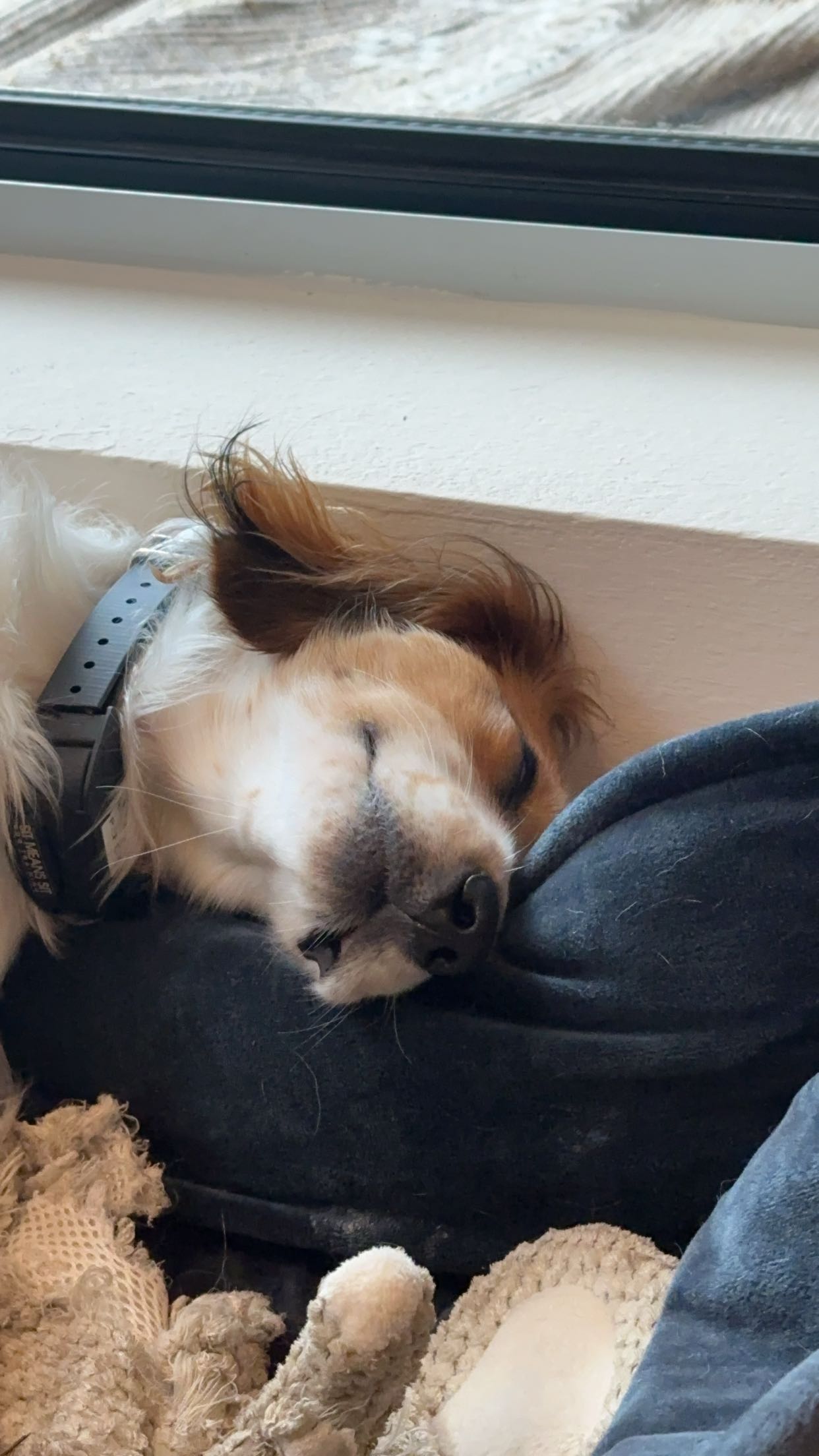 laurenj.fit snapchat image archive image