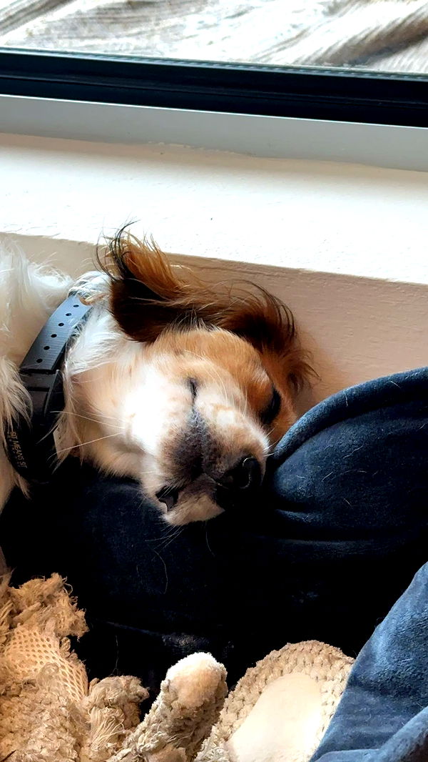 laurenj.fit image ~ Altpins