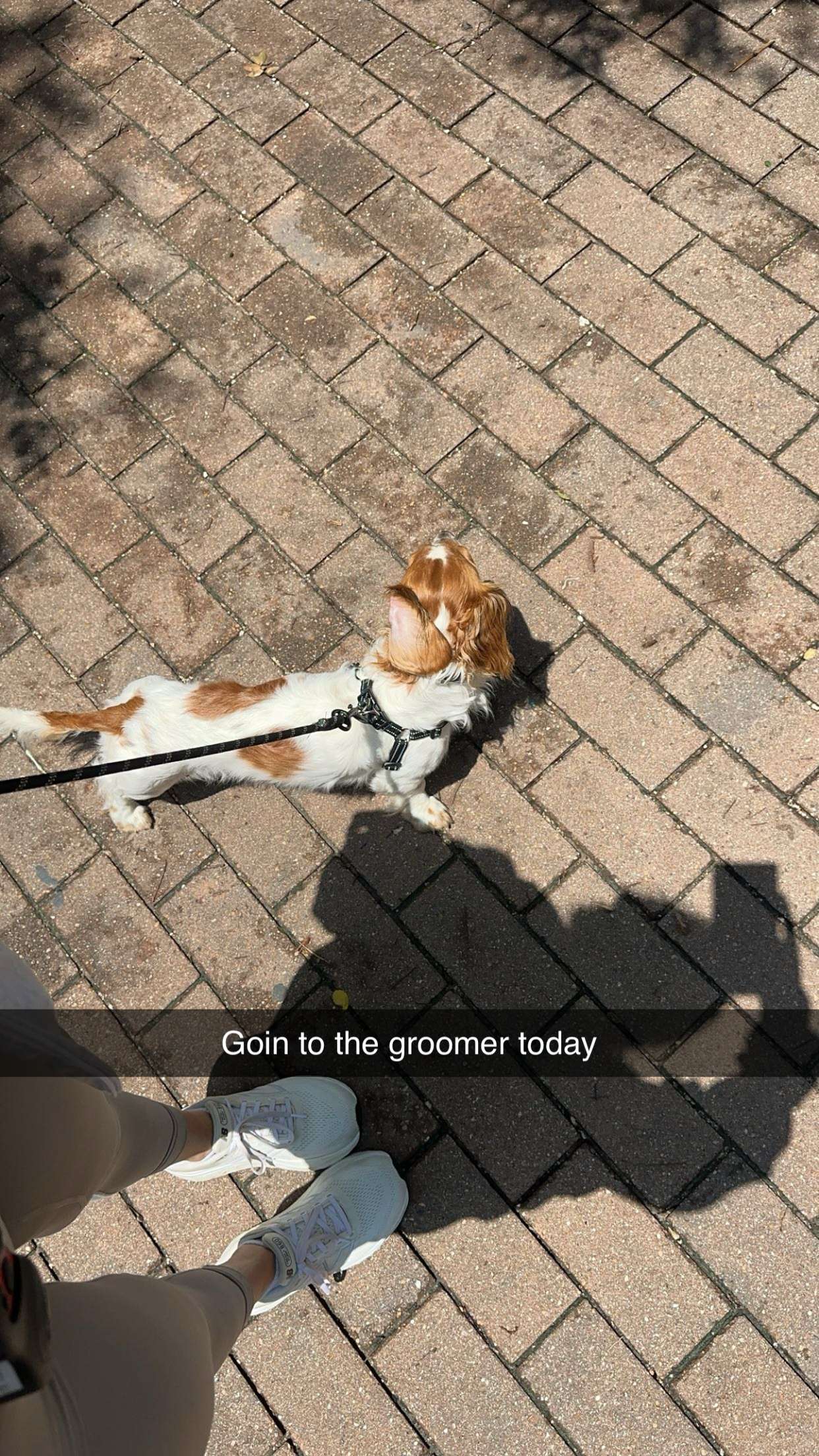 laurenj.fit snapchat image archive image