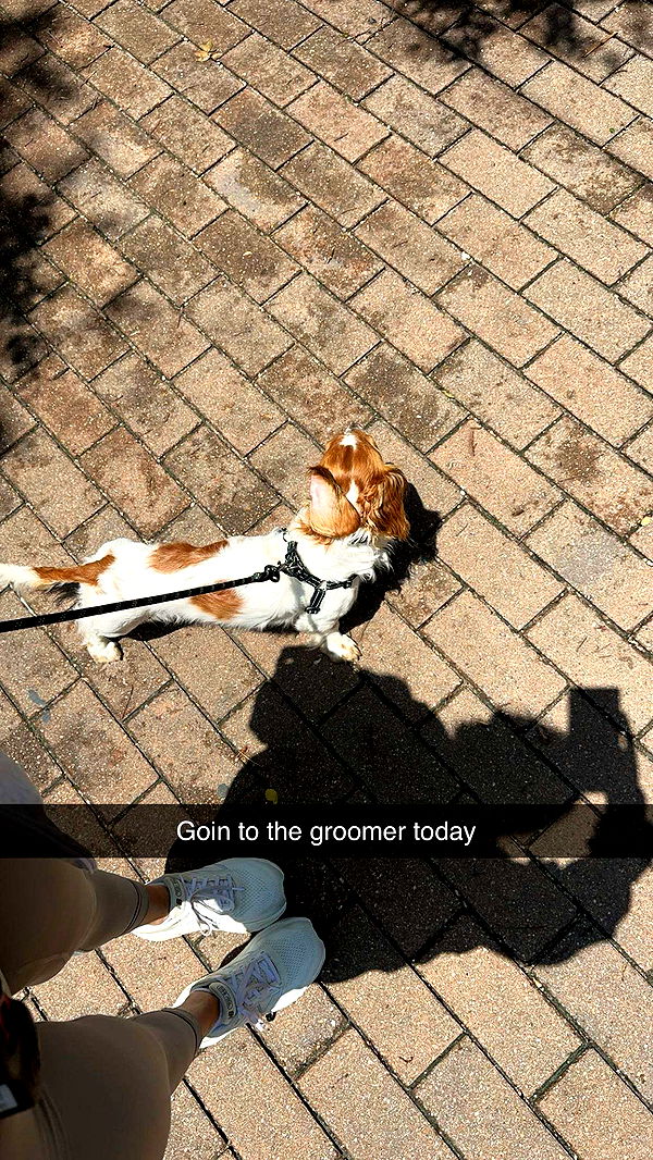 laurenj.fit image ~ Altpins