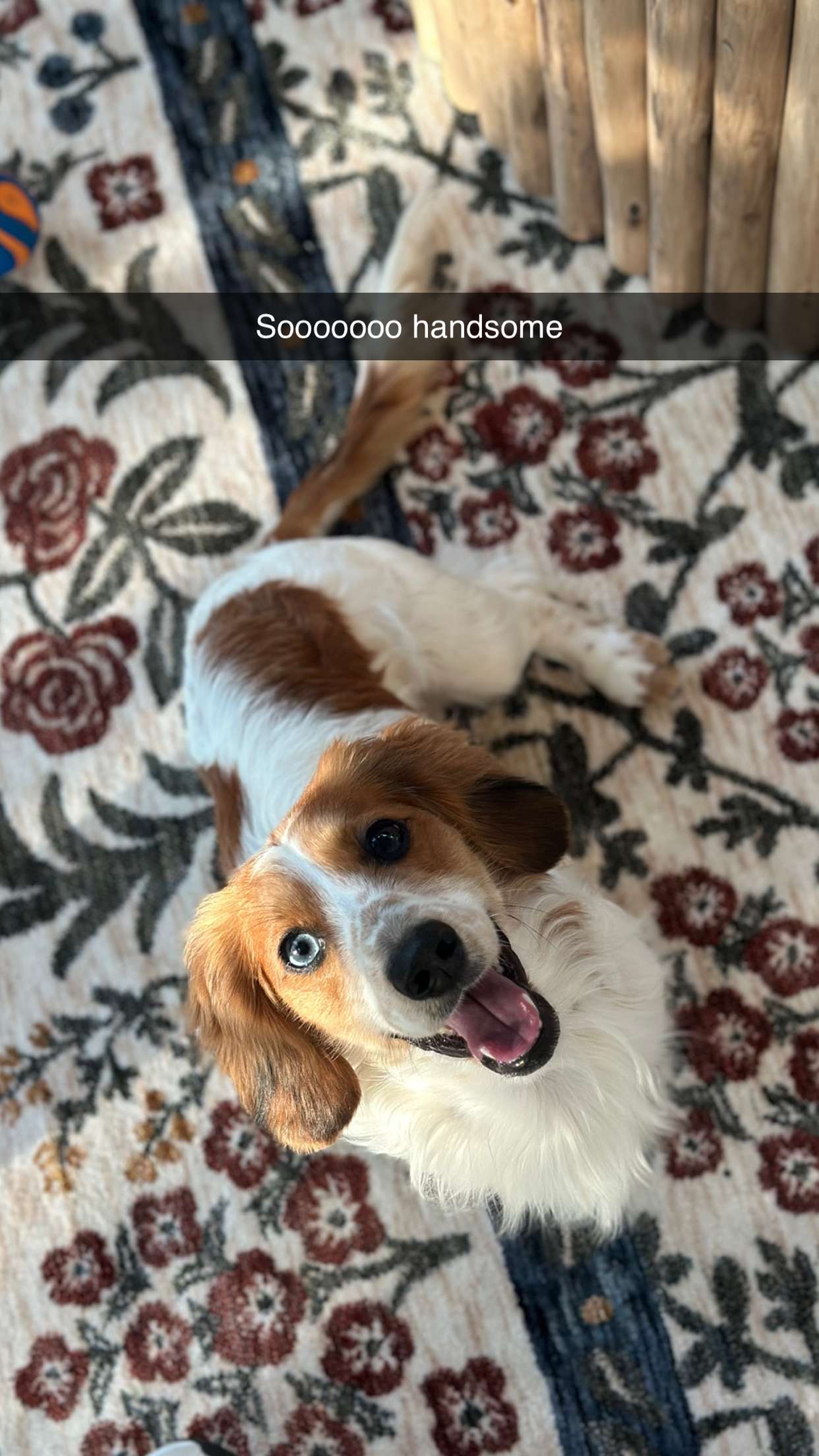 laurenj.fit snapchat image archive image