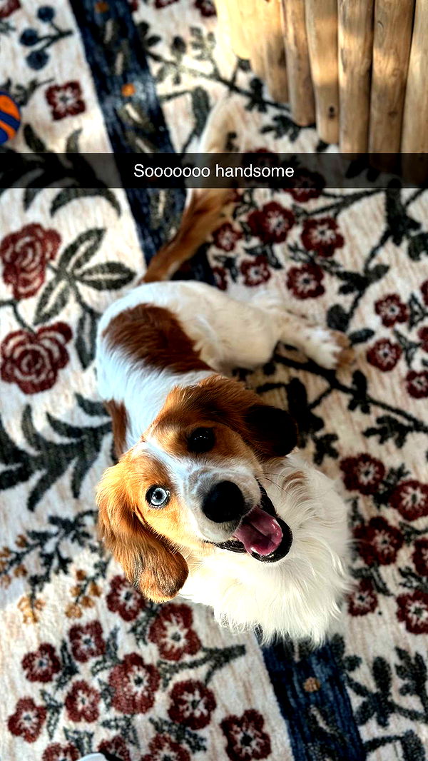 laurenj.fit image ~ Altpins