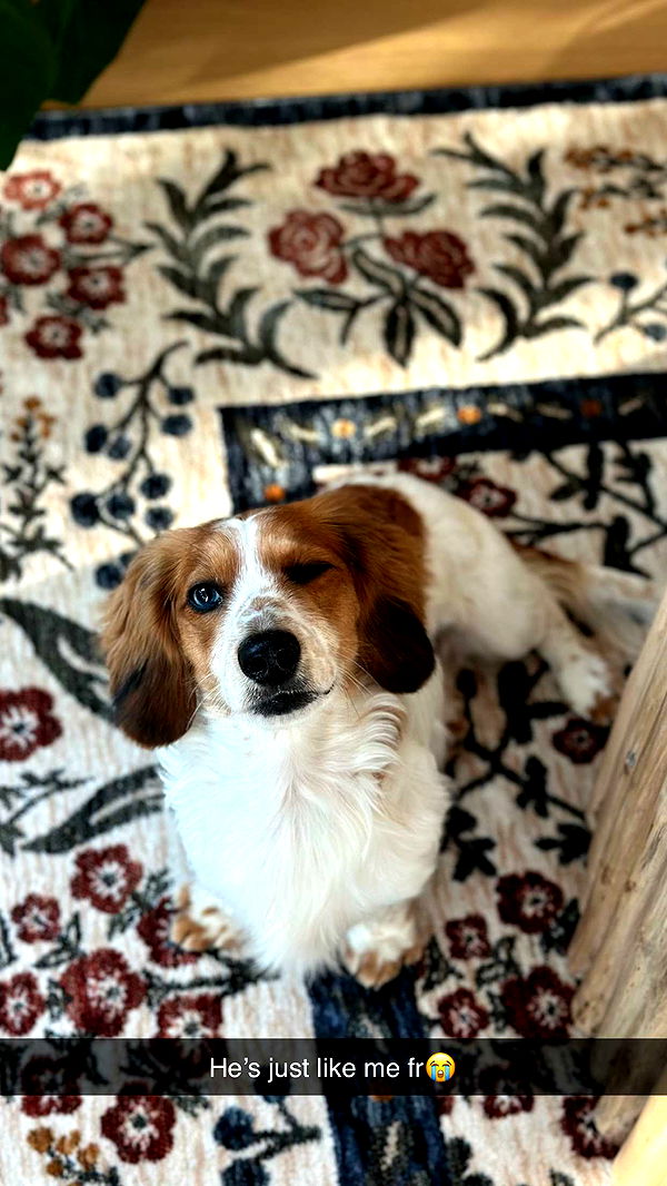 laurenj.fit image ~ Altpins