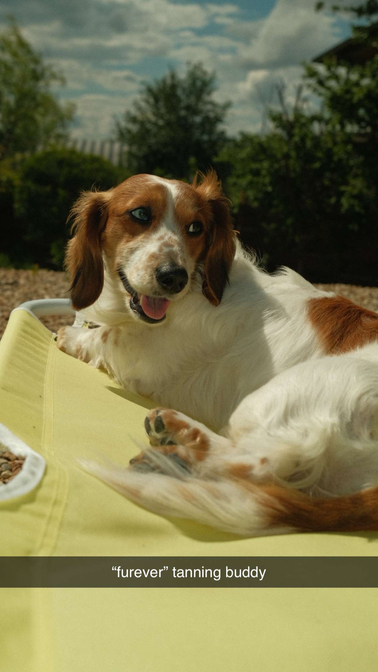 laurenj.fit snapchat image archive image