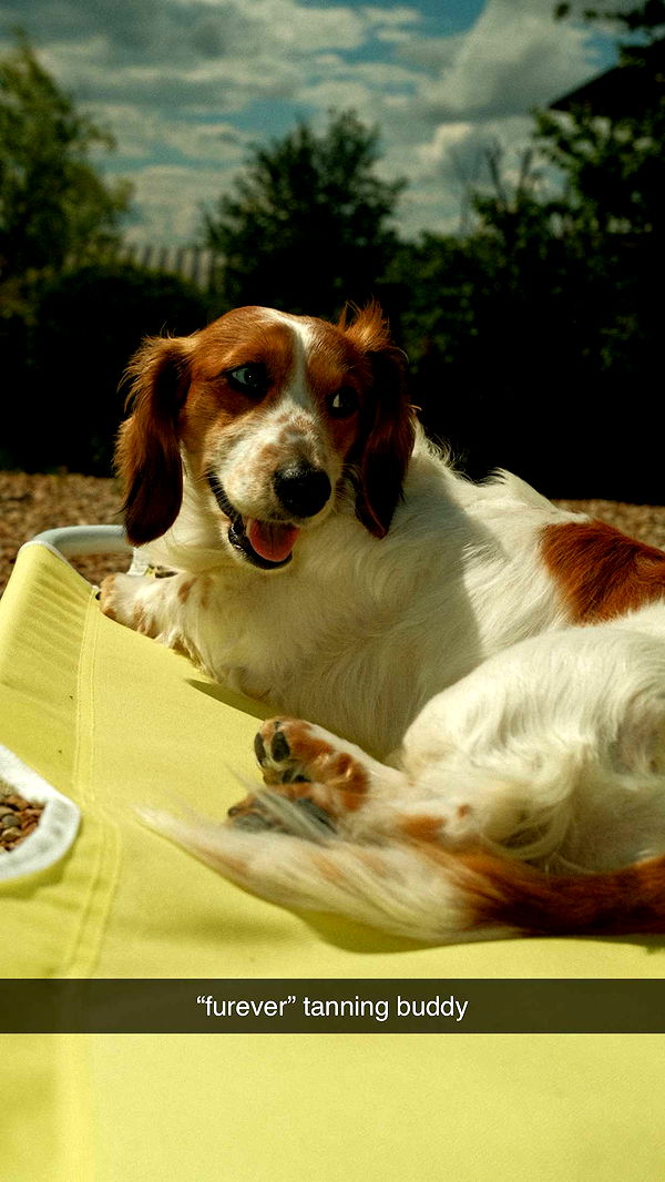 laurenj.fit image ~ Altpins