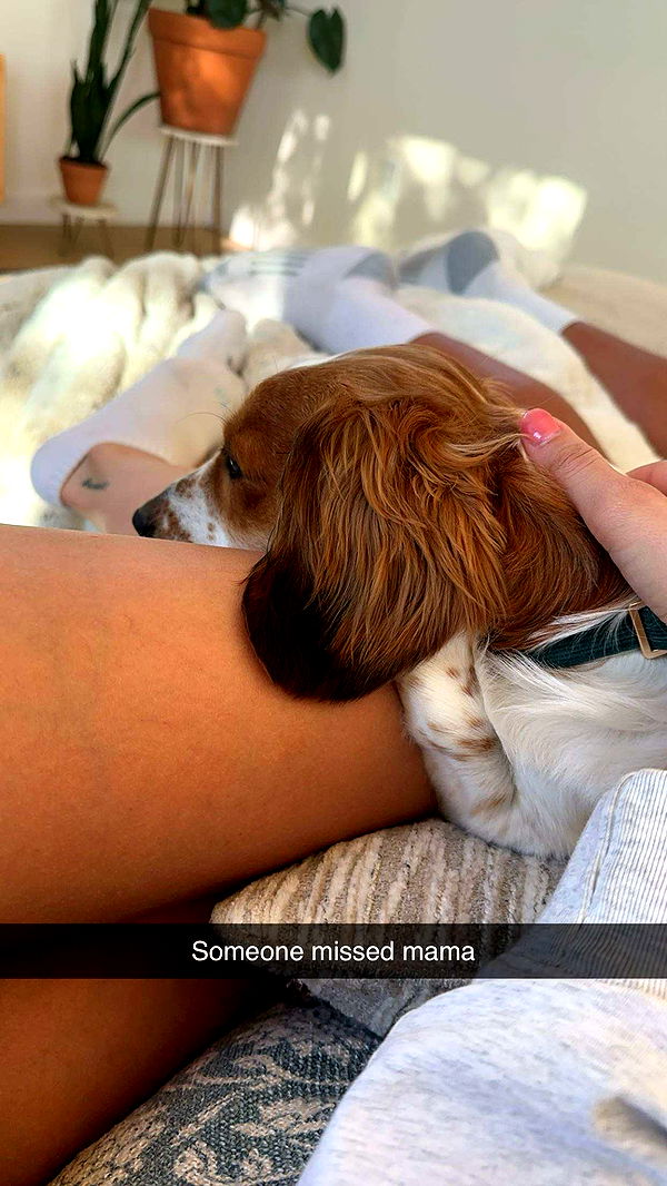 laurenj.fit image ~ Altpins