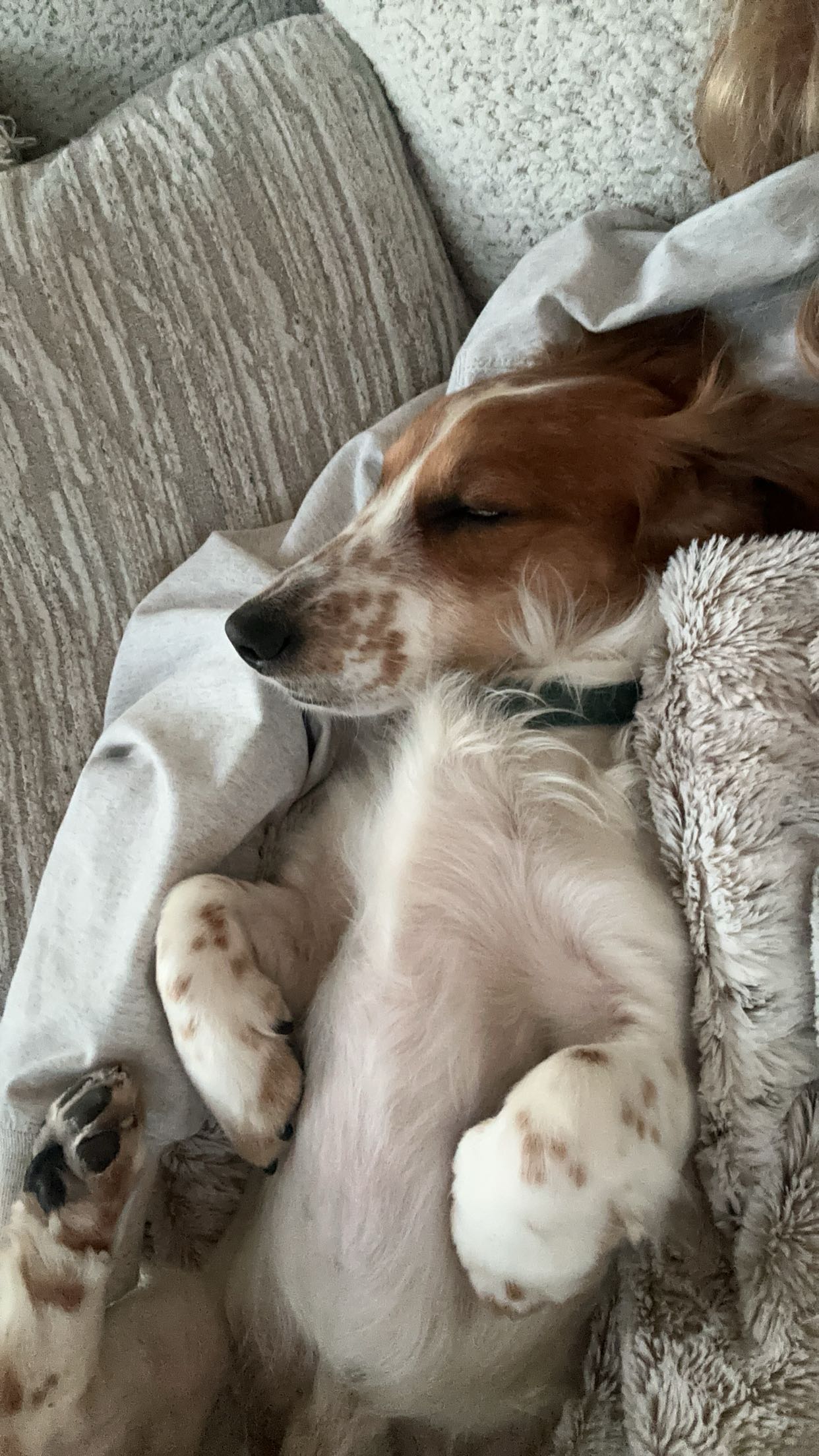 laurenj.fit snapchat image archive image