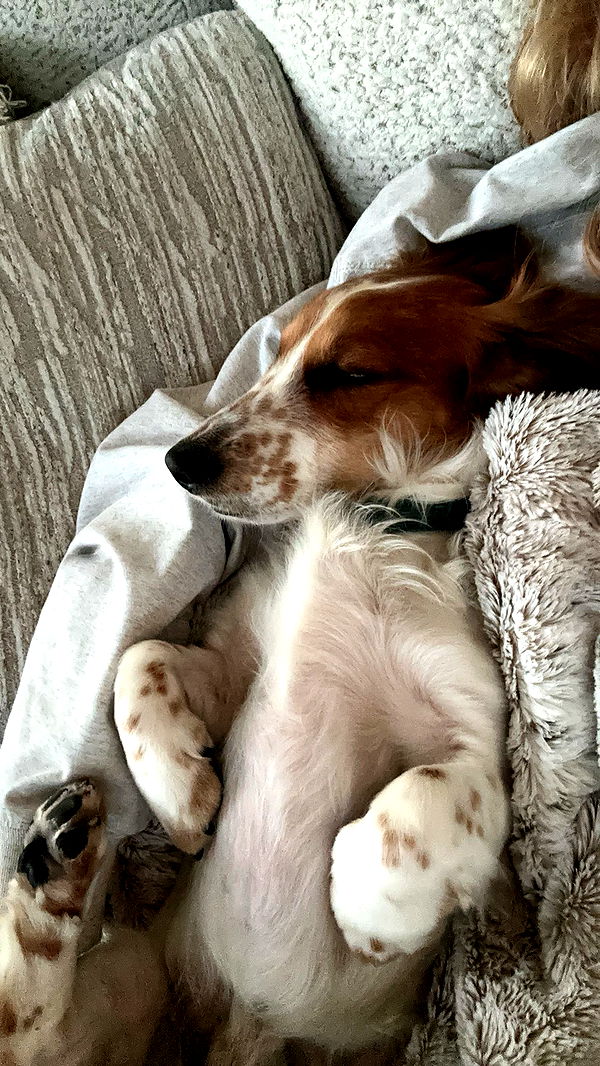 laurenj.fit image ~ Altpins