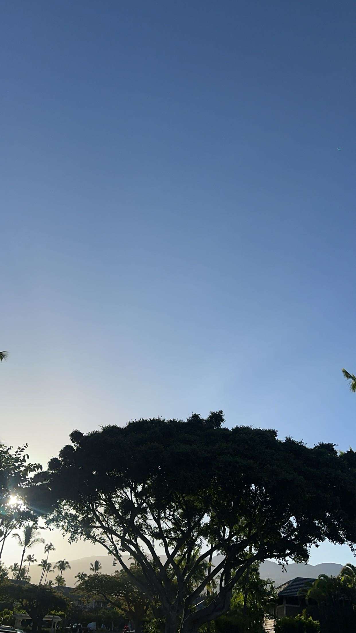 laurenj.fit snapchat image archive image