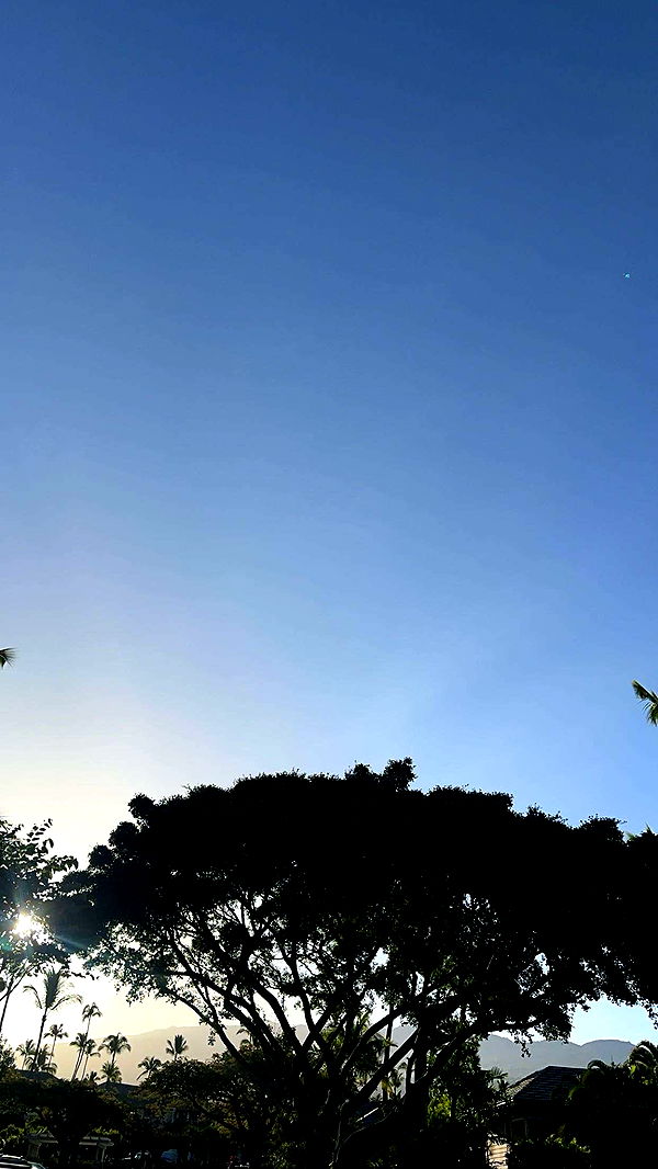 laurenj.fit image ~ Altpins