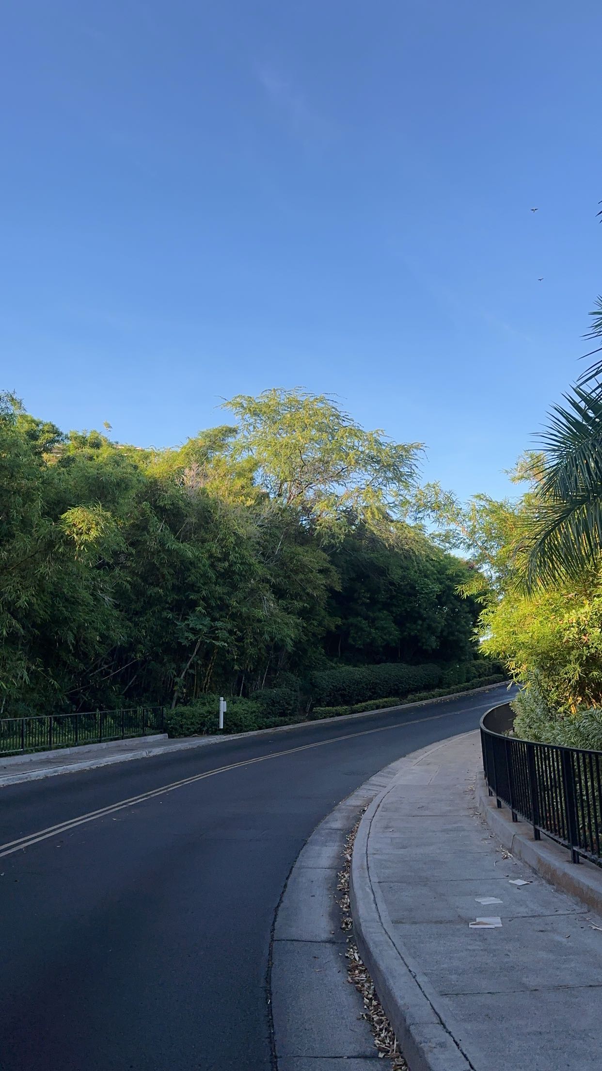 laurenj.fit snapchat image archive image