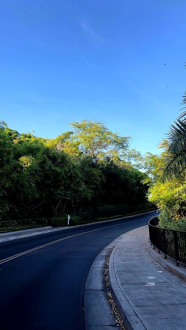 laurenj.fit image ~ Altpins