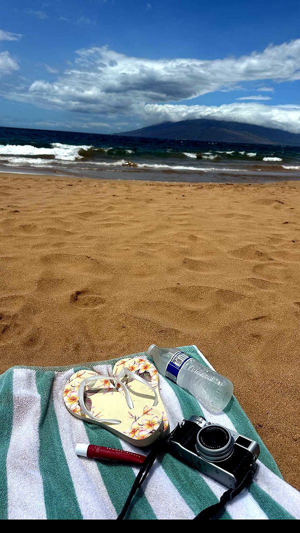 laurenj.fit image ~ Altpins