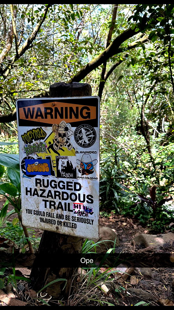 laurenj.fit image ~ Altpins