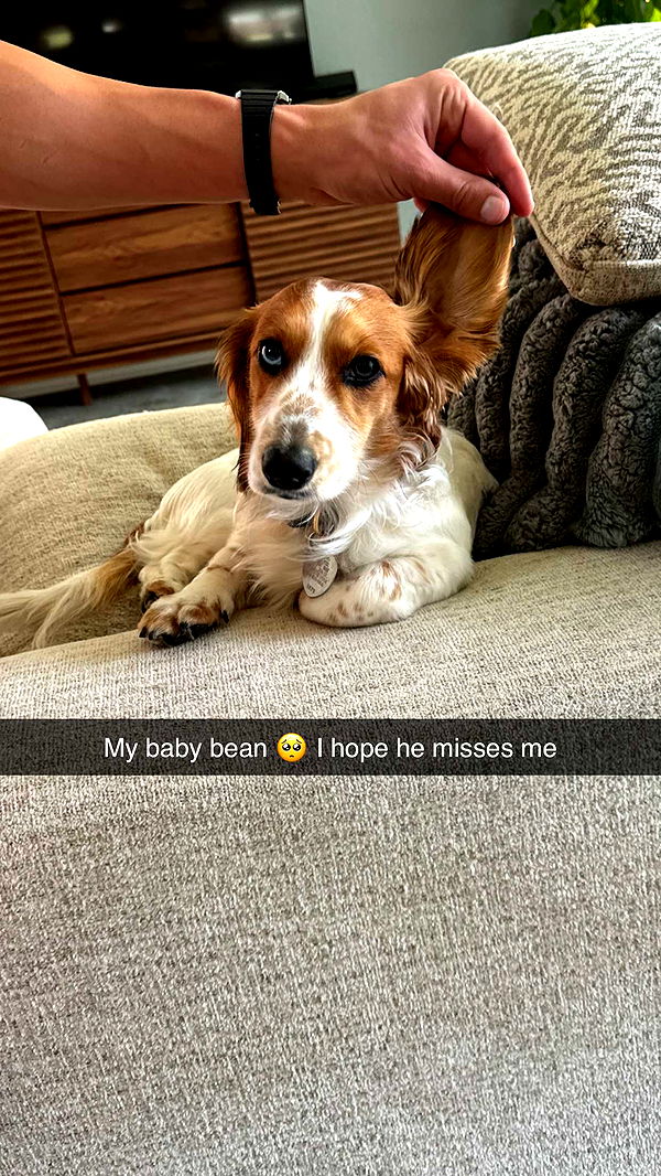 laurenj.fit image ~ Altpins