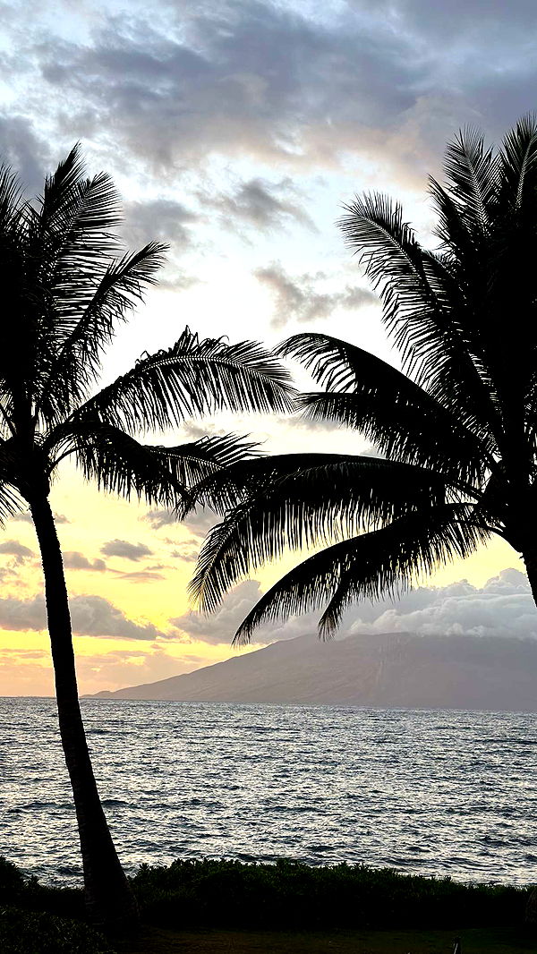 laurenj.fit image ~ Altpins